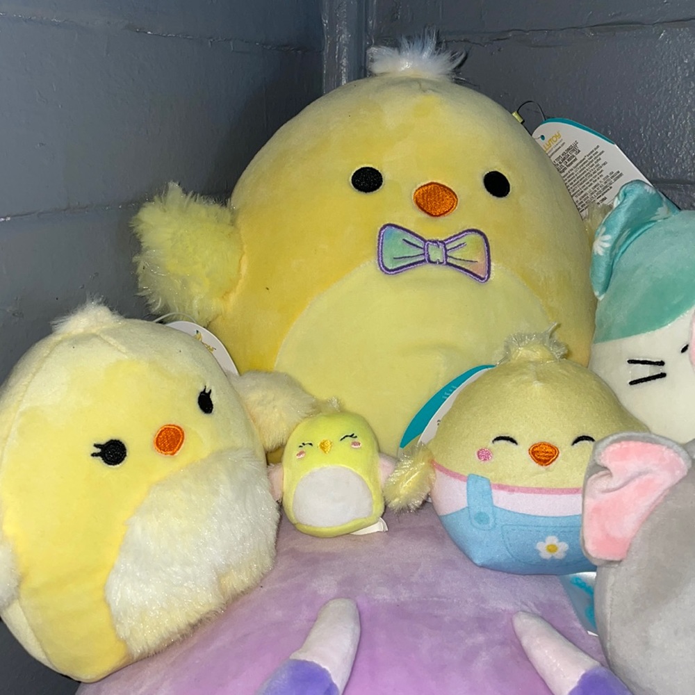 Family of chicks Squishmallow bundle 🐣